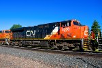CN 2333